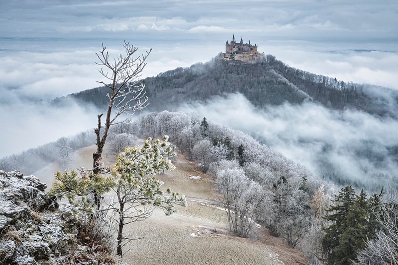 Fairy-Tale Castle Grounds